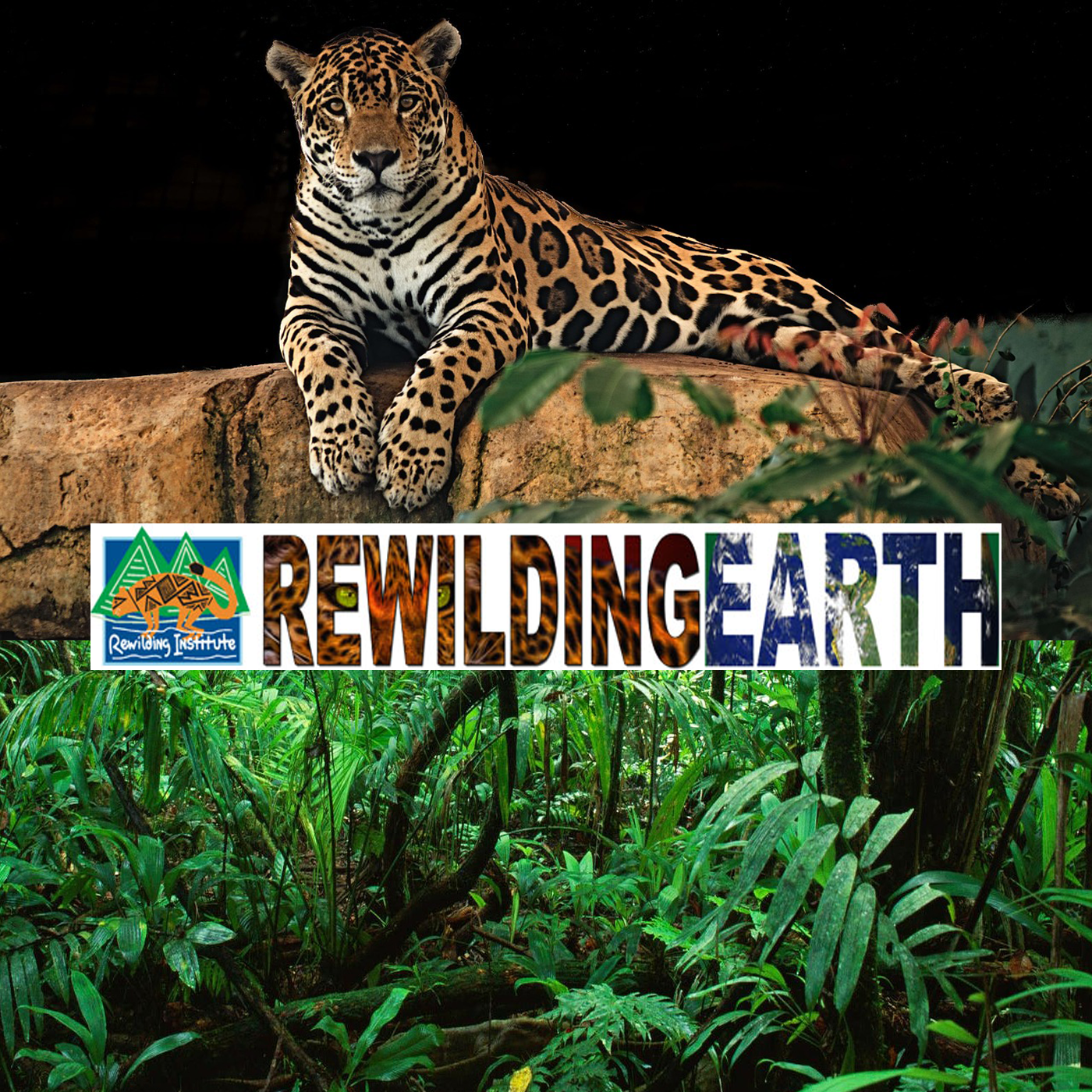 Rewilding Earth Podcast Episode 78: Iowa Rewilding and Big River Connectivity With Mark Edwards - burst 01