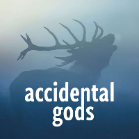 Committee On Climate Change, John Jensen And Defa discussed on Accidental Gods 