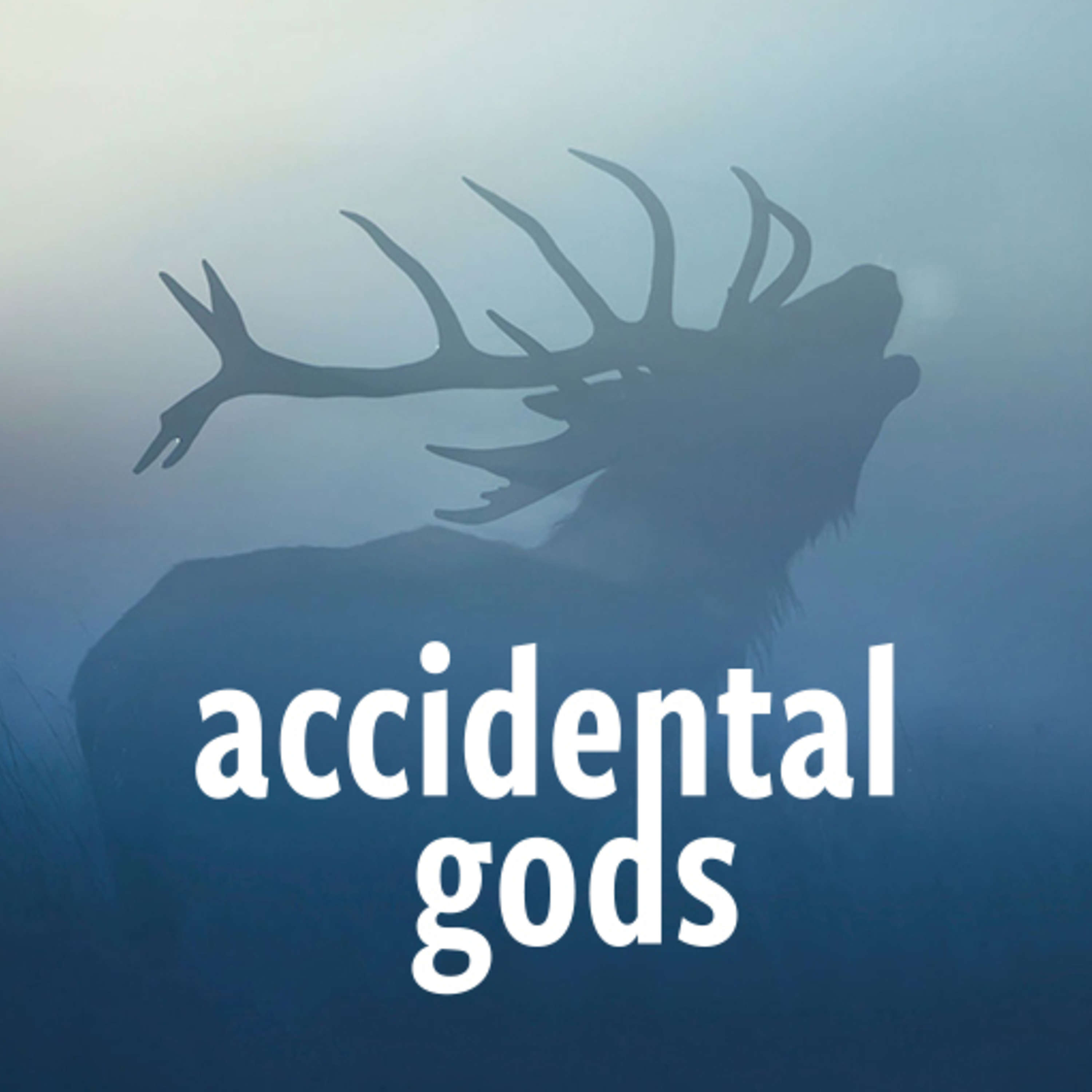 A highlight from Accidental Gods Podcast bookclub with writer and commentator, Ece Temelkuran 