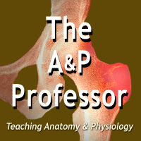 A highlight from Smooth Teaching with Slides: Animations to Dramatize the Story of Anatomy & Physiology | Science Updates | TAPP 89