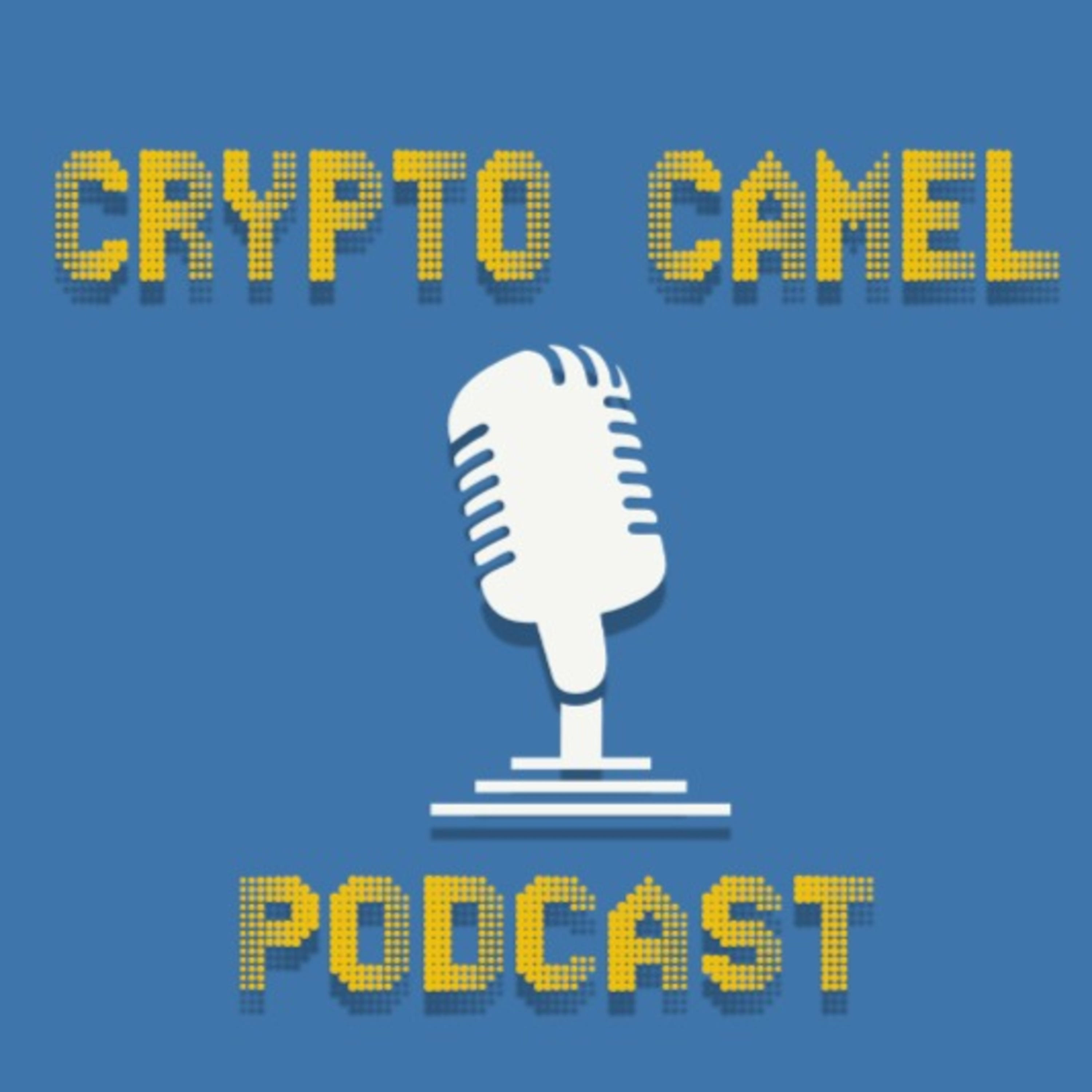 Fresh update on "developer" discussed on Crypto Camel Podcast